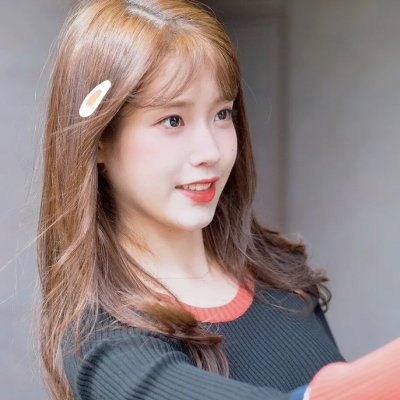 超完美狗保姆